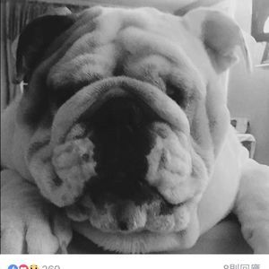 Meet your Posher, Jeffrey